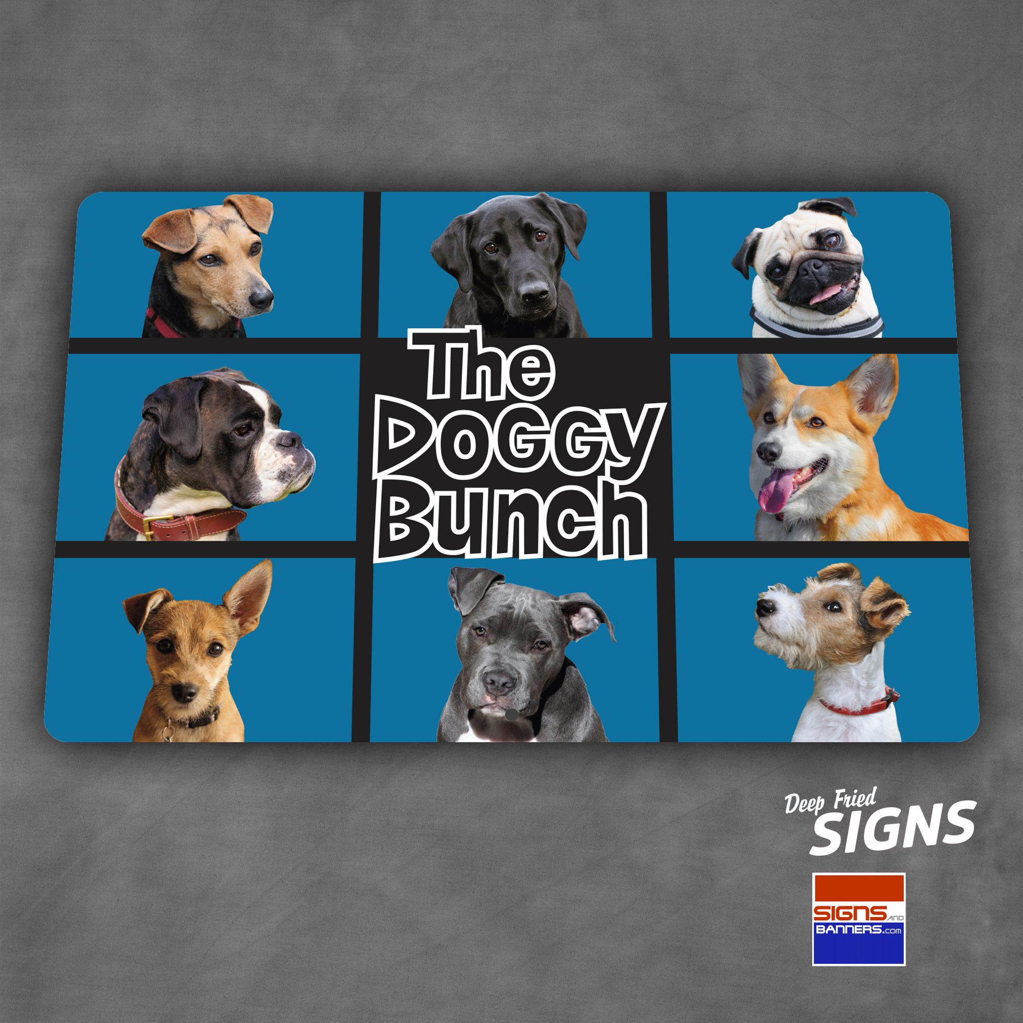 Doggy Bunch
